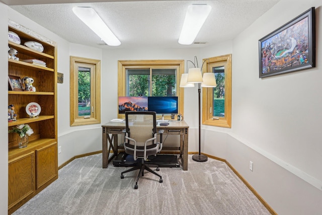 16905 Jalisco Ter W, Lakeville, MN 55044 - carpeted office with a textured ceiling and baseboards