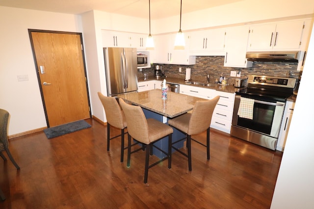 1841 Kemberidge Rd, Detroit Lakes, MN 56501 - kitchen with appliances with stainless steel finishes, under cabinet range hood, a sink, tasteful backsplash, and dark wood-type flooring
