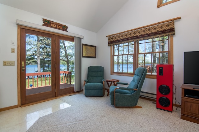 601 Idlewild St Unit 102, Balsam Lake, WI 54810 - living area with baseboard heating, plenty of natural light, baseboards, and high vaulted ceiling