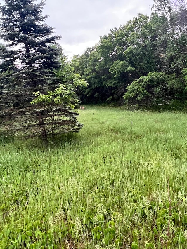 TBD 174th St NW, Orrock Twp, MN 55309
