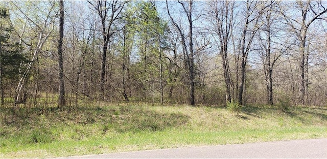 TBD 174th St NW, Orrock Twp, MN 55309