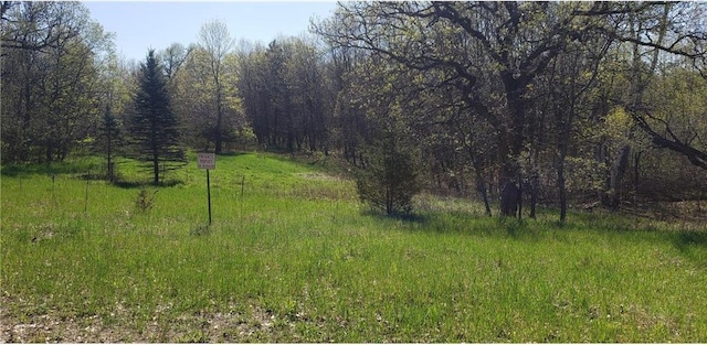 TBD 174th St NW, Orrock Twp, MN 55309