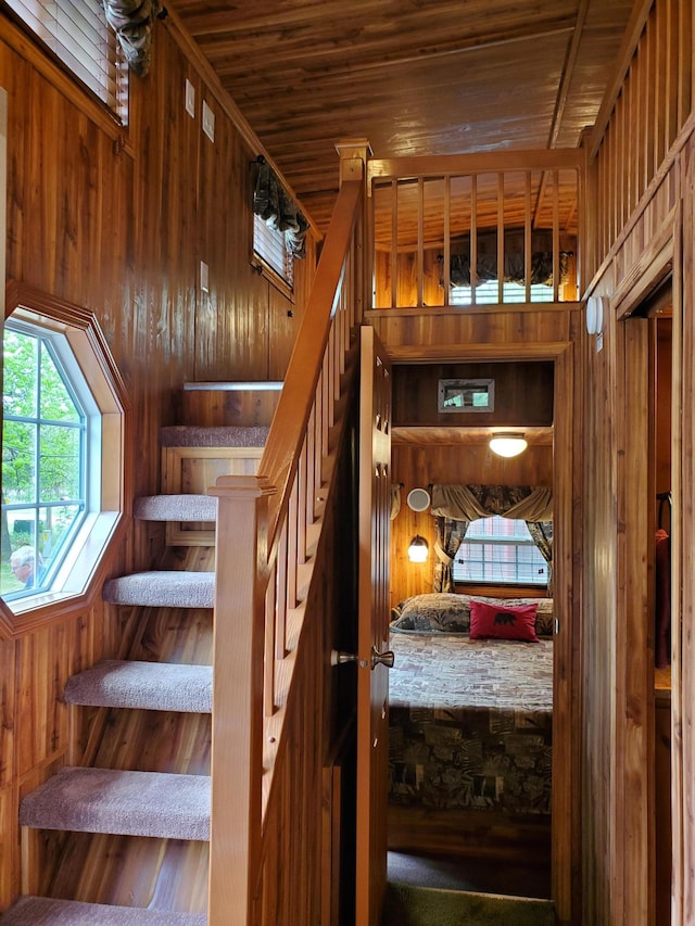 30019 Whitebirch Way, Breezy Point, MN 56472