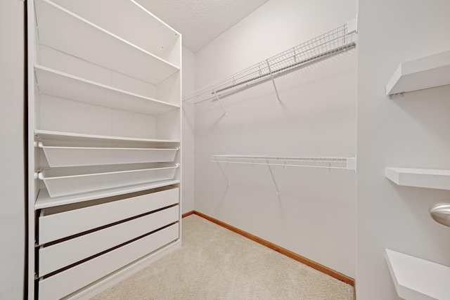 3314 Hazel Trl Unit G, Woodbury, MN 55129 - spacious closet featuring carpet