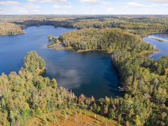 46771 Smith Lake Rd, Marcell, MN 56657 - photo 6