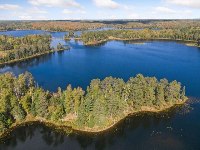 46771 Smith Lake Rd, Marcell, MN 56657 - photo 7