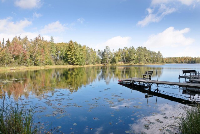 46771 Smith Lake Rd, Marcell, MN 56657 - photo 42