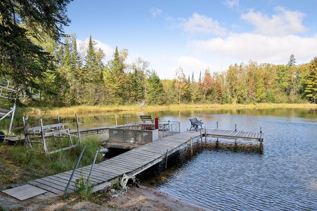 46771 Smith Lake Rd, Marcell, MN 56657 - photo 43