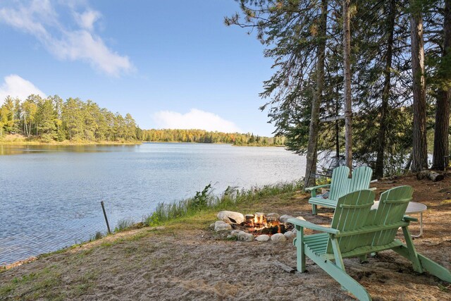 46771 Smith Lake Rd, Marcell, MN 56657 - photo 44