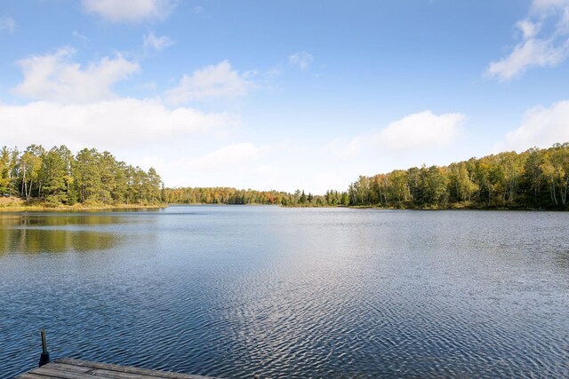 46771 Smith Lake Rd, Marcell, MN 56657 - photo 45