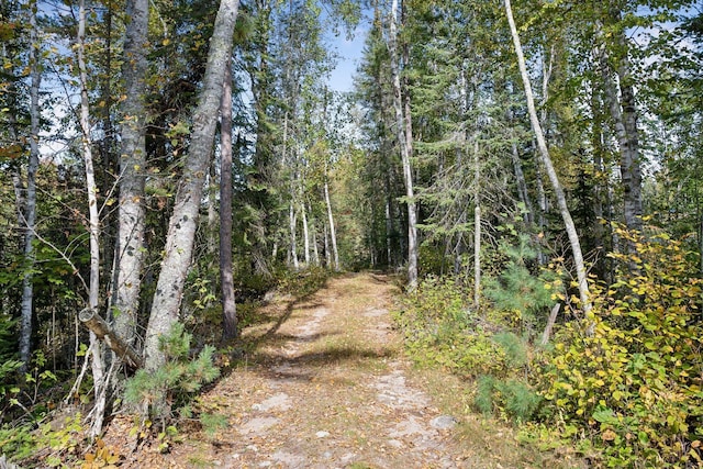 46771 Smith Lake Rd, Marcell, MN 56657 - photo 48