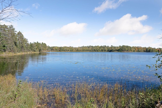 46771 Smith Lake Rd, Marcell, MN 56657 - photo 49