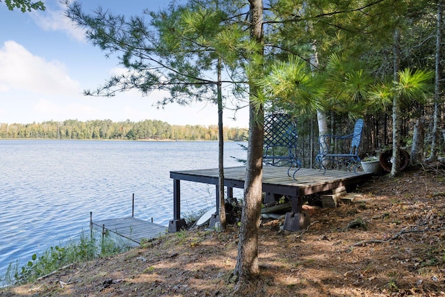 46771 Smith Lake Rd, Marcell, MN 56657 - photo 50