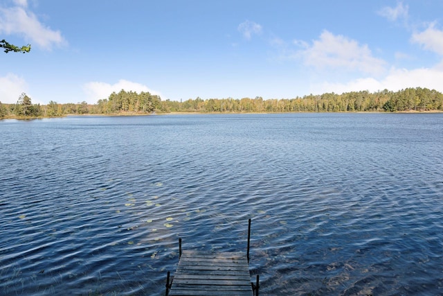 46771 Smith Lake Rd, Marcell, MN 56657 - photo 51