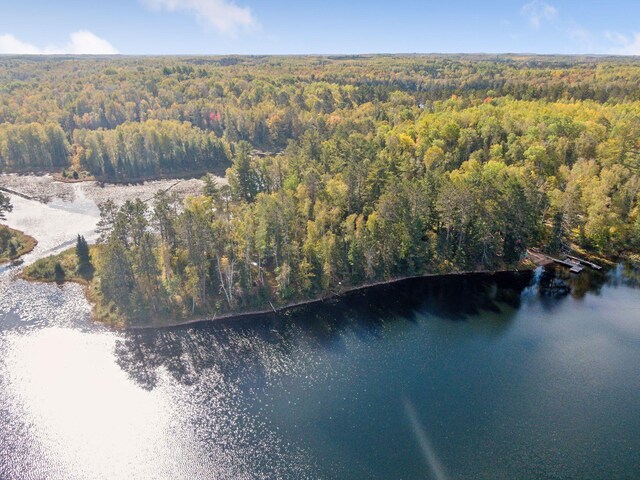 46771 Smith Lake Rd, Marcell, MN 56657 - photo 52