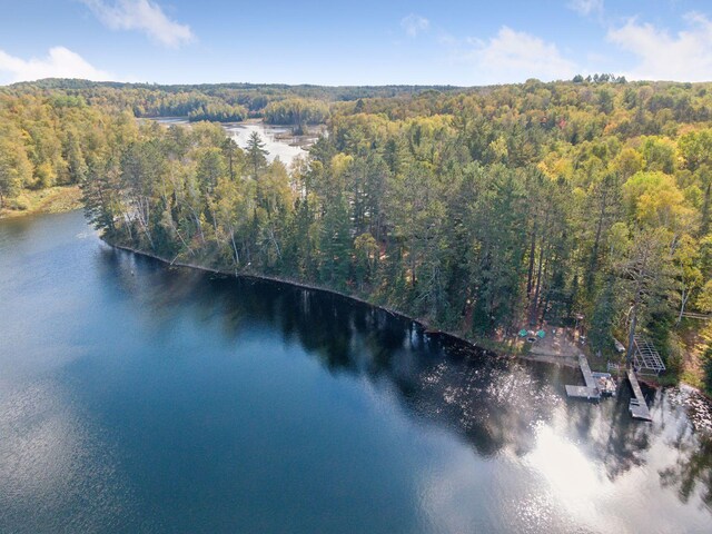 46771 Smith Lake Rd, Marcell, MN 56657 - photo 53