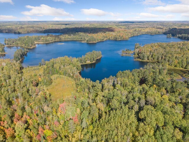 46771 Smith Lake Rd, Marcell, MN 56657 - photo 54
