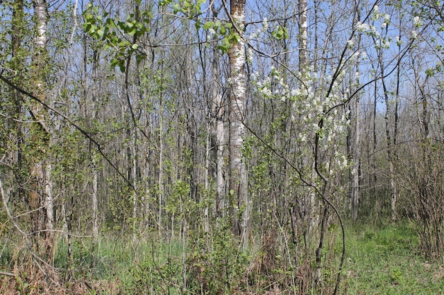 2668 M T Nelson Rd, Mahtowa Twp, MN 55707