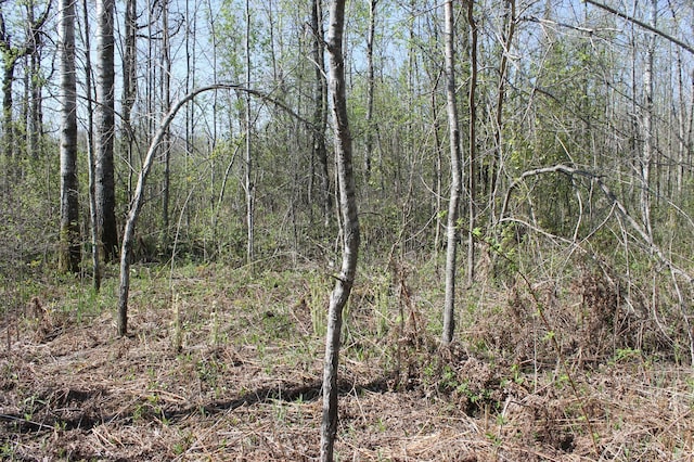 2668 M T Nelson Rd, Mahtowa Twp, MN 55707