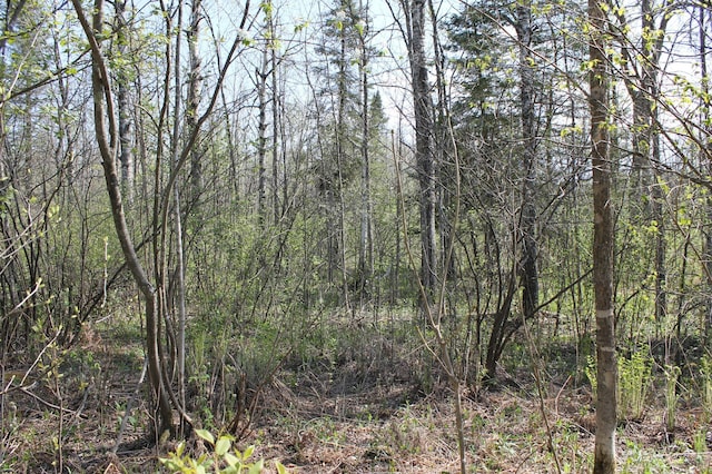 2668 M T Nelson Rd, Mahtowa Twp, MN 55707