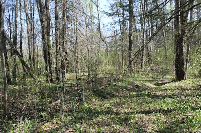 2668 M T Nelson Rd, Mahtowa Twp, MN 55707