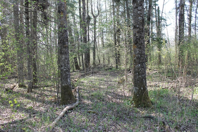 2668 M T Nelson Rd, Mahtowa Twp, MN 55707