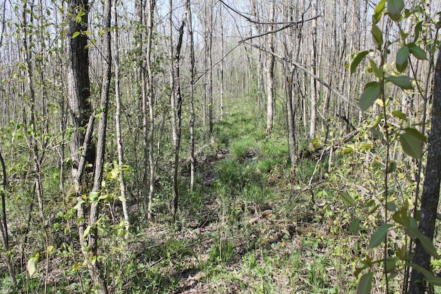 2668 M T Nelson Rd, Mahtowa Twp, MN 55707