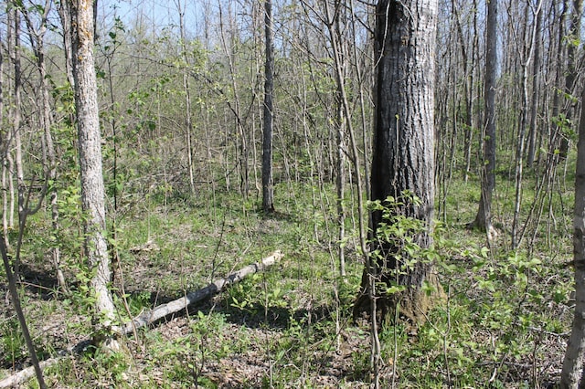 2668 M T Nelson Rd, Mahtowa Twp, MN 55707