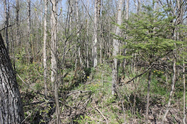2668 M T Nelson Rd, Mahtowa Twp, MN 55707