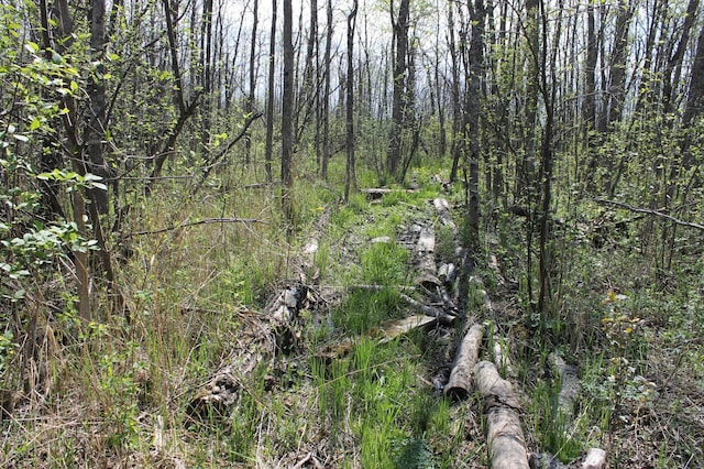 2668 M T Nelson Rd, Mahtowa Twp, MN 55707