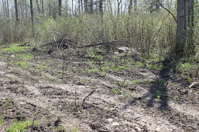 2668 M T Nelson Rd, Mahtowa Twp, MN 55707