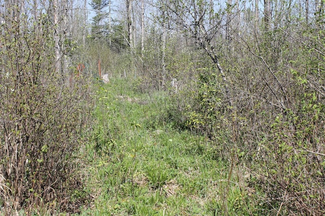 2668 M T Nelson Rd, Mahtowa Twp, MN 55707