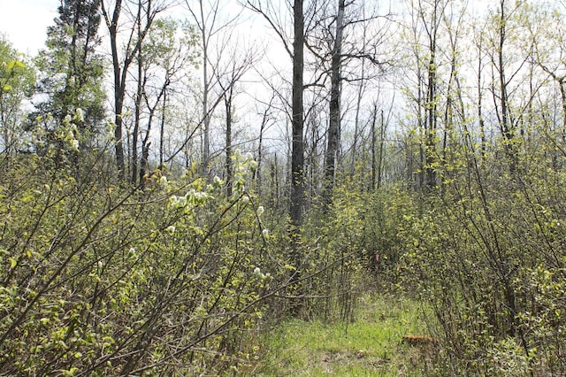 2668 M T Nelson Rd, Mahtowa Twp, MN 55707