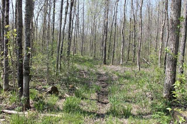 2668 M T Nelson Rd, Mahtowa Twp, MN 55707