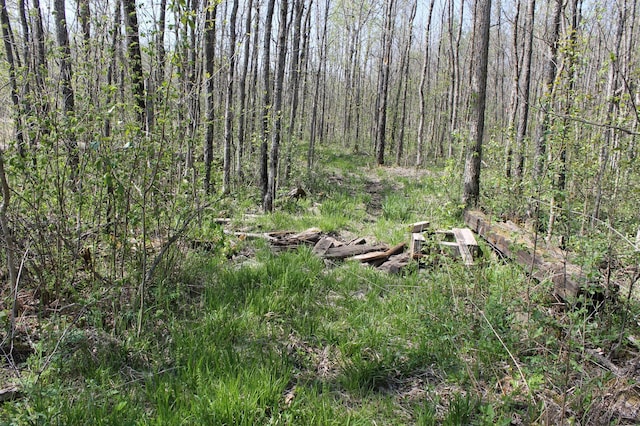 2668 M T Nelson Rd, Mahtowa Twp, MN 55707