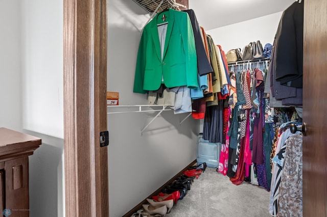 walk in closet with carpet
