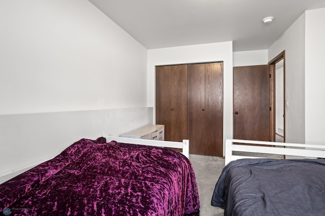 bedroom featuring carpet and a closet