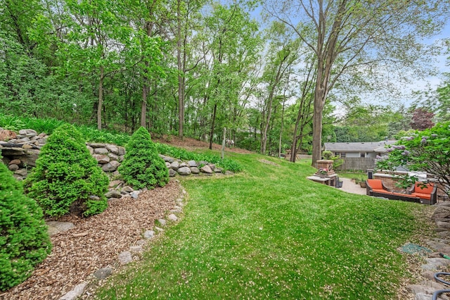 5401 Mount Normandale Dr, Bloomington, MN 55437 - view of yard