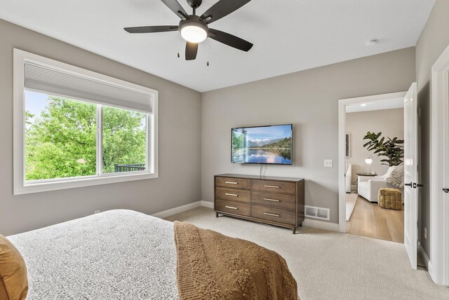 515 Marsh Path, Norwood Young America, MN 55397 - photo 26