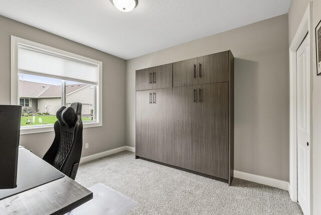 515 Marsh Path, Norwood Young America, MN 55397 - photo 31