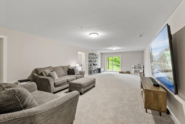 515 Marsh Path, Norwood Young America, MN 55397 - photo 35