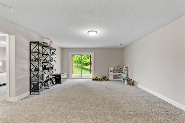 515 Marsh Path, Norwood Young America, MN 55397 - photo 36