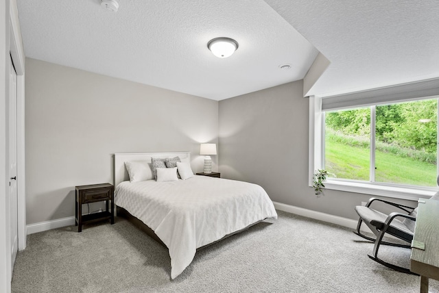515 Marsh Path, Norwood Young America, MN 55397 - photo 39
