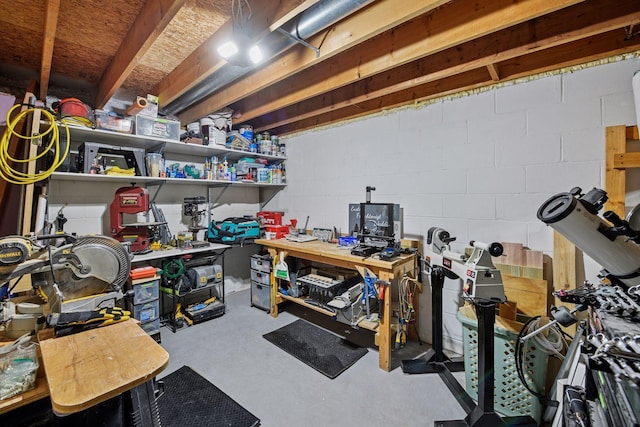 9239 Harbor Ln N, Maple Grove, MN 55369 - unfinished below grade area featuring a workshop area
