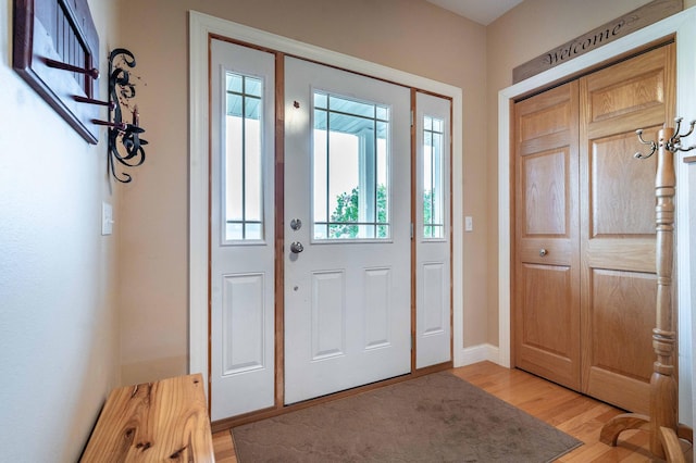 29560 204th Ave, Elizabeth Twp, MN 56537 - entryway featuring healthy amount of natural light, light wood finished floors, and baseboards