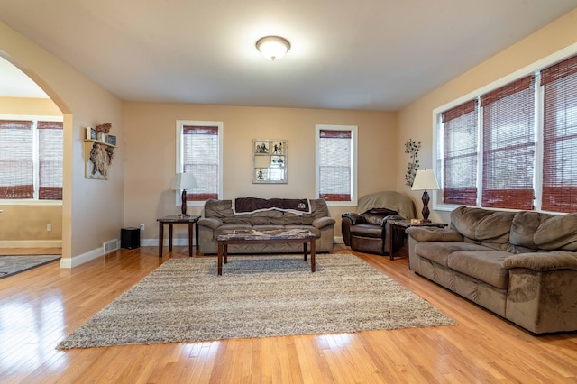 29560 204th Ave, Elizabeth Twp, MN 56537 - living area featuring arched walkways, hardwood / wood-style flooring, and baseboards