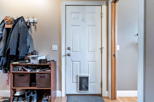 29560 204th Ave, Elizabeth Twp, MN 56537 - mudroom with baseboards and wood finished floors