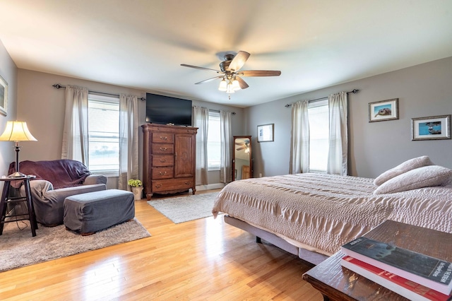 29560 204th Ave, Elizabeth Twp, MN 56537 - bedroom with multiple windows, light wood-style floors, and ceiling fan
