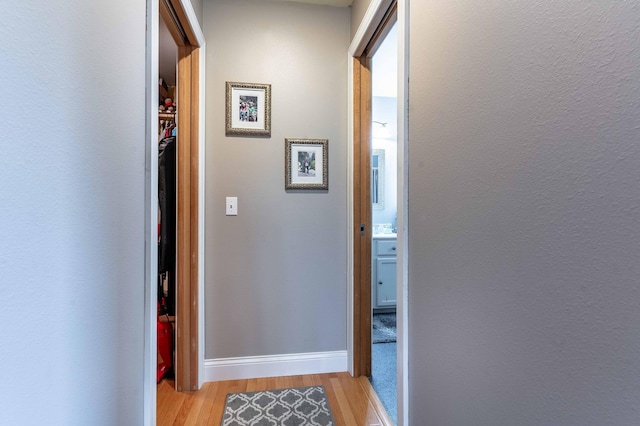 29560 204th Ave, Elizabeth Twp, MN 56537 - hallway with light wood-type flooring and baseboards