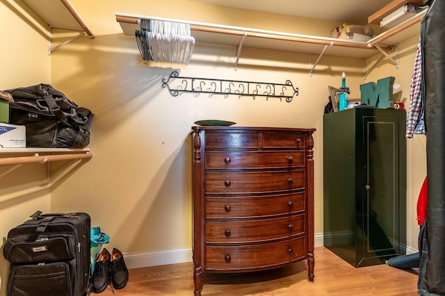 29560 204th Ave, Elizabeth Twp, MN 56537 - walk in closet with wood finished floors